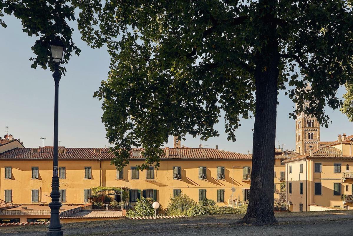 Il Giardino Sulle Mura Daire Lucca Dış mekan fotoğraf